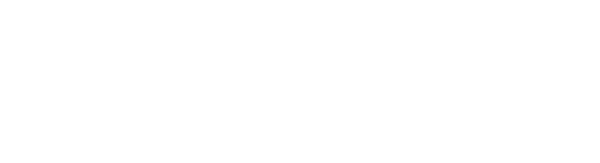dalistovision group